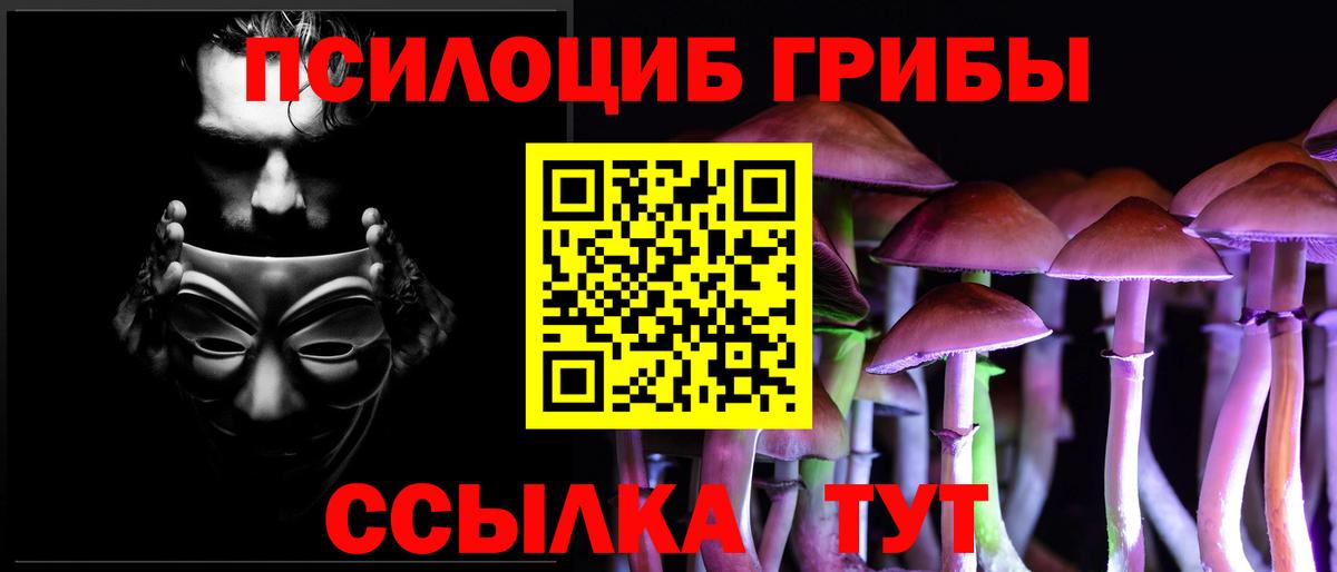 Красноуфимск  Псилоцибиновые грибы Psilocybine cubensis  Вход с VPN 